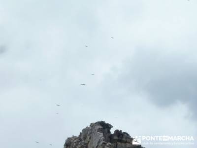 Parque Nacional Monfragüe - Reserva Natural Garganta de los Infiernos-Jerte;grupos de senderismo